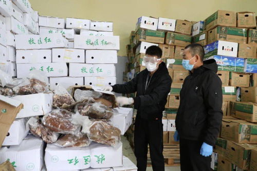 二連浩特市市場監管局強化進口冷鏈食品監管，筑牢疫情防控安全防線